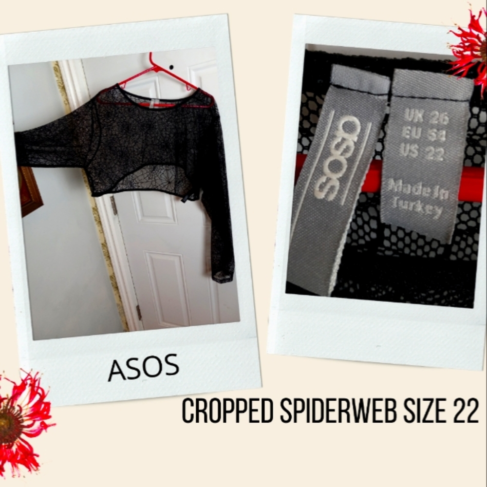 Asos spiderweb mesh crop top